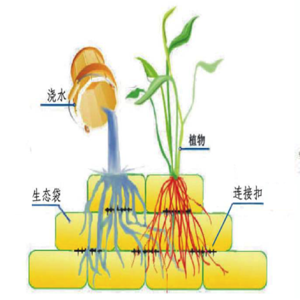 中小河道河流生态修复设计与施工
Design & construction for mid-small river
ecological restoration 中小河道河流生态修复设计与施工
Design & construction for mid-small river
ecological restoration